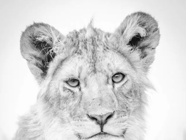 Utilizing Indigenous Wildlife in Organic Landscaping Architecture